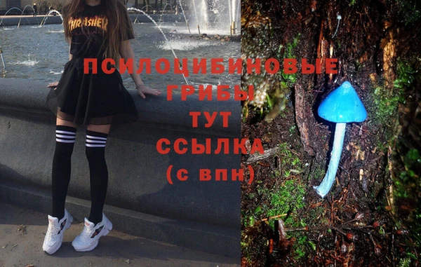 дурь Алзамай